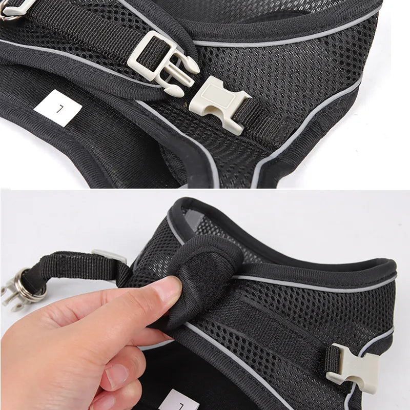 Conjunto de chaleco/arnés ajustable y correa para perros pequeños, cachorros y gatos