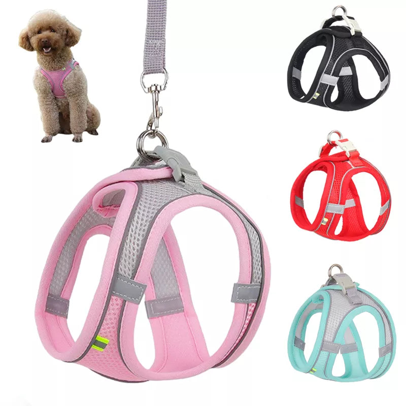 Conjunto de chaleco/arnés ajustable y correa para perros pequeños, cachorros y gatos