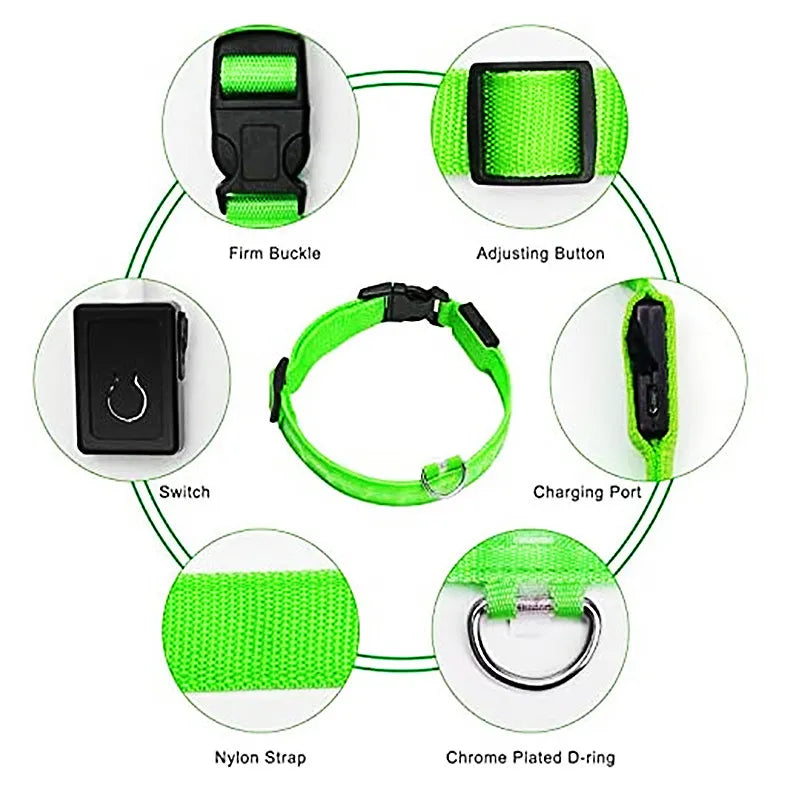 Collar LED brillante para perros, ajustable y recargable anti-extravíos