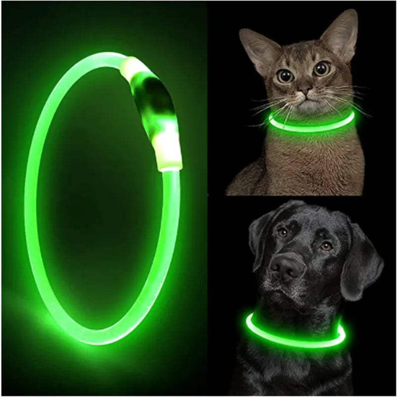 Collar LED para perros desmontable, luminoso y recargable