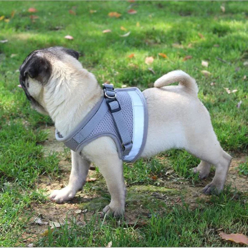 Arnés-chaleco ajustable de malla tipo pechera con correa de tracción para perros y gatos de hasta 10Kg