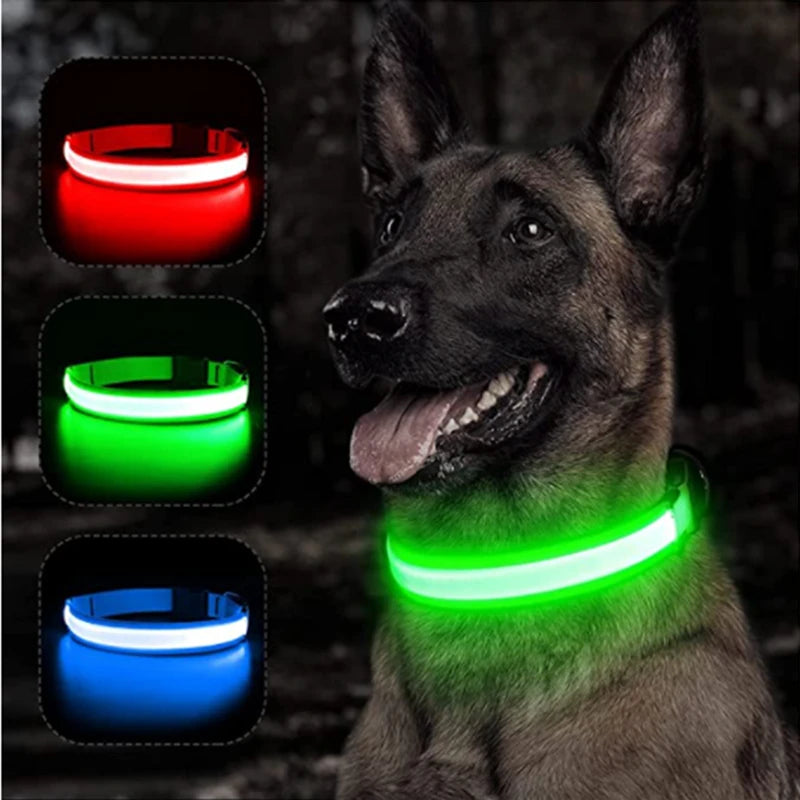 Collar LED brillante para perros, ajustable y recargable anti-extravíos
