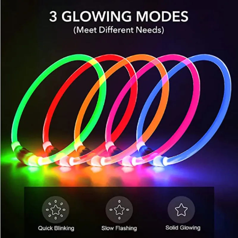Collar LED para perros desmontable, luminoso y recargable