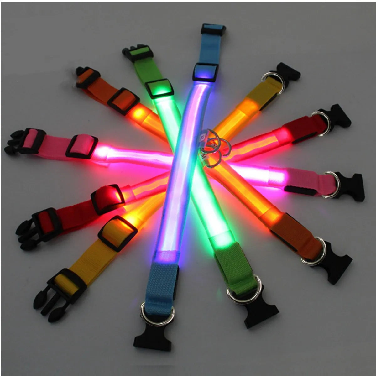 Collar LED brillante para perros, ajustable y recargable anti-extravíos