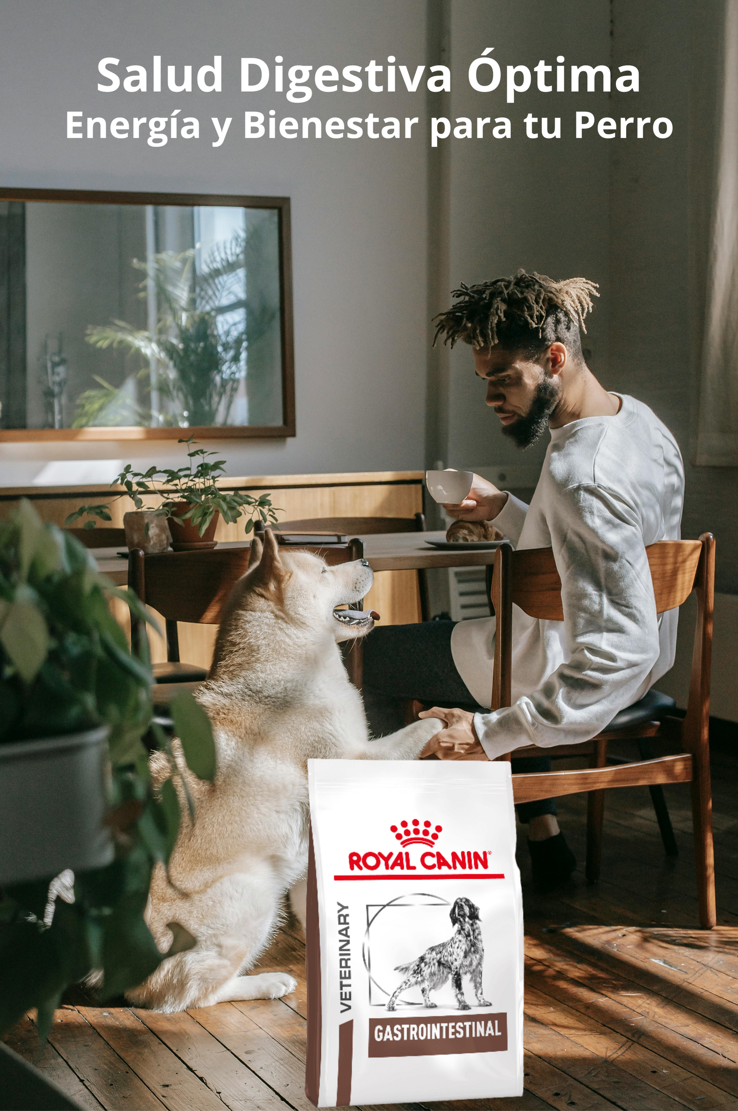Royal Canin Gastrointestinal 10 Kg