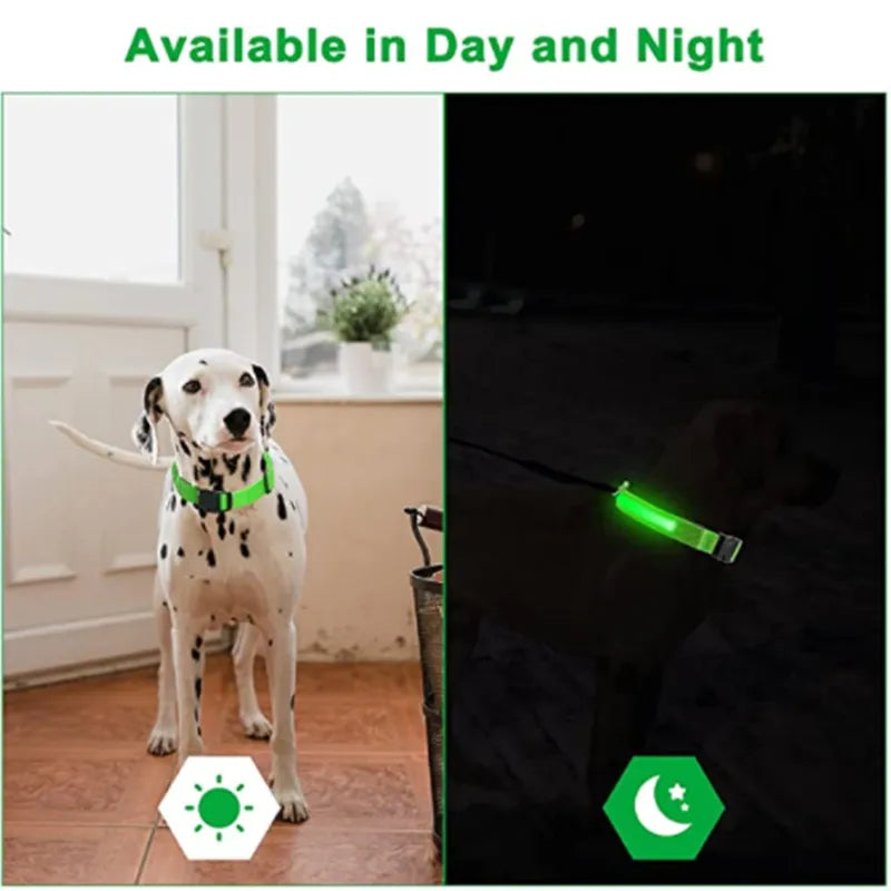 Collar LED brillante para perros, ajustable y recargable anti-extravíos