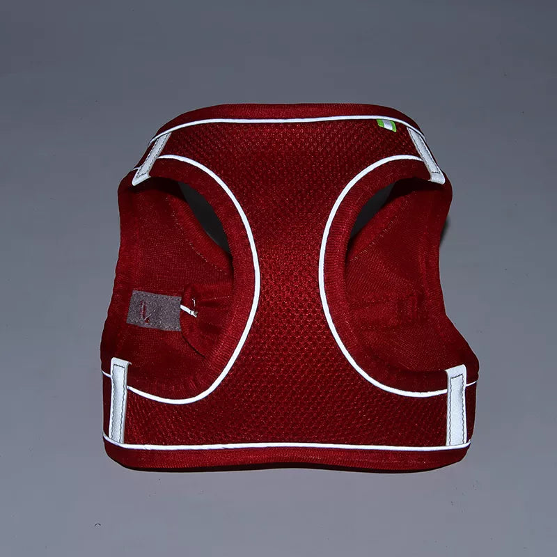 Conjunto de chaleco/arnés ajustable y correa para perros pequeños, cachorros y gatos