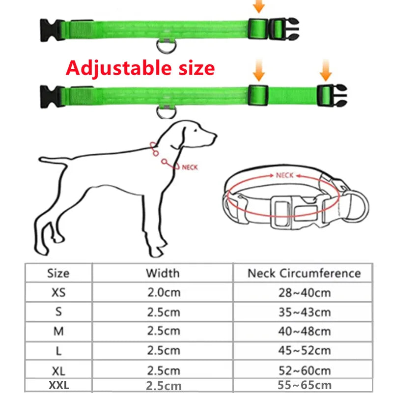 Collar LED brillante para perros, ajustable y recargable anti-extravíos