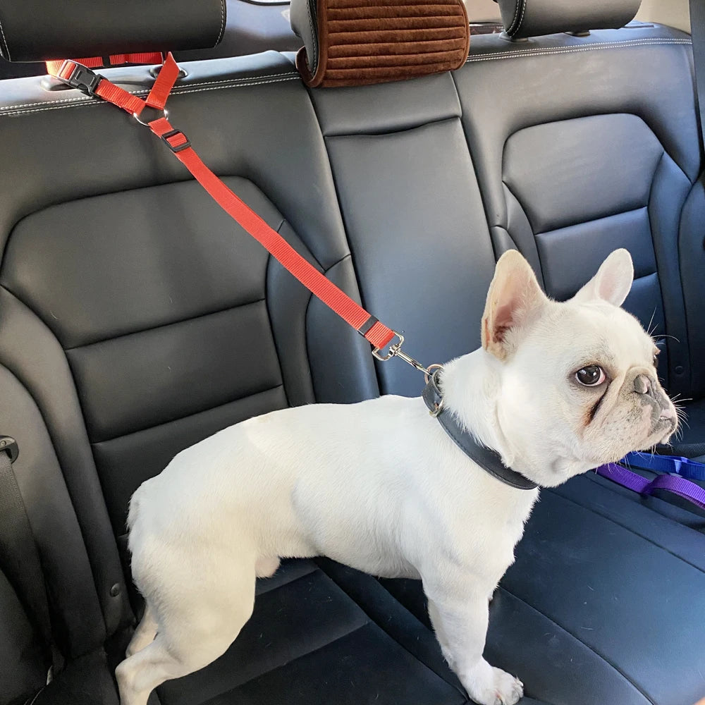 Cinturón de seguridad y arnés-collar con correa 2 en 1 para perros y gatos, ajustable al automóvil