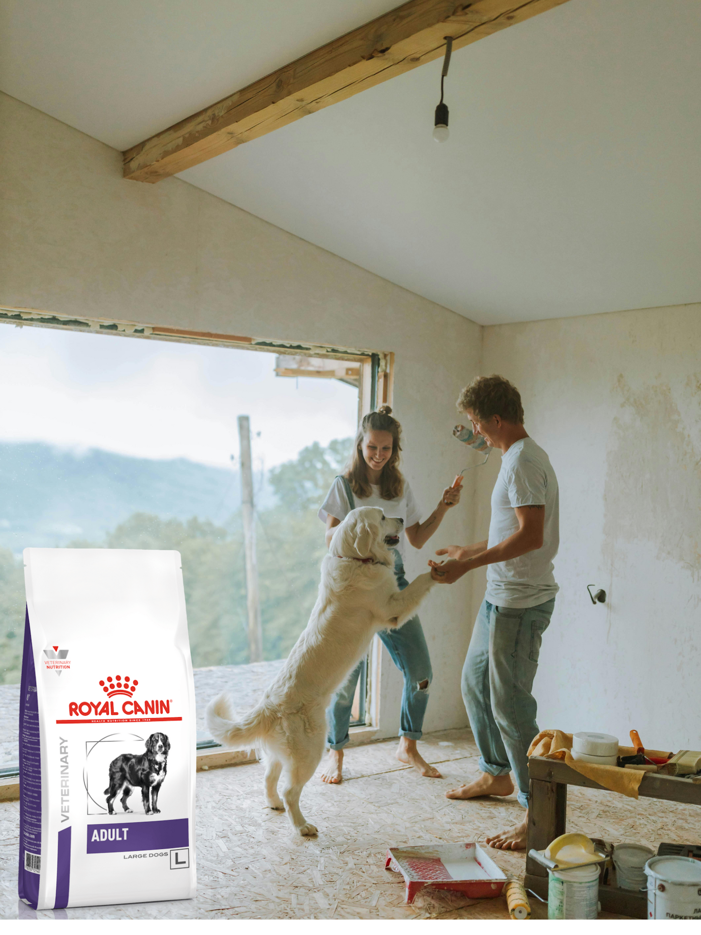Royal Canin Adult Large Dog 12 Kg