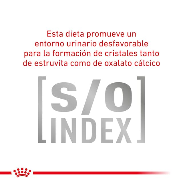 Royal Canin Gastrointestinal Moderate Calorie Feline Lata 85 Gr