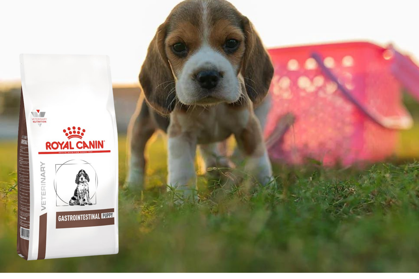 Royal Canin Gastrointestinal Puppy 4 Kg
