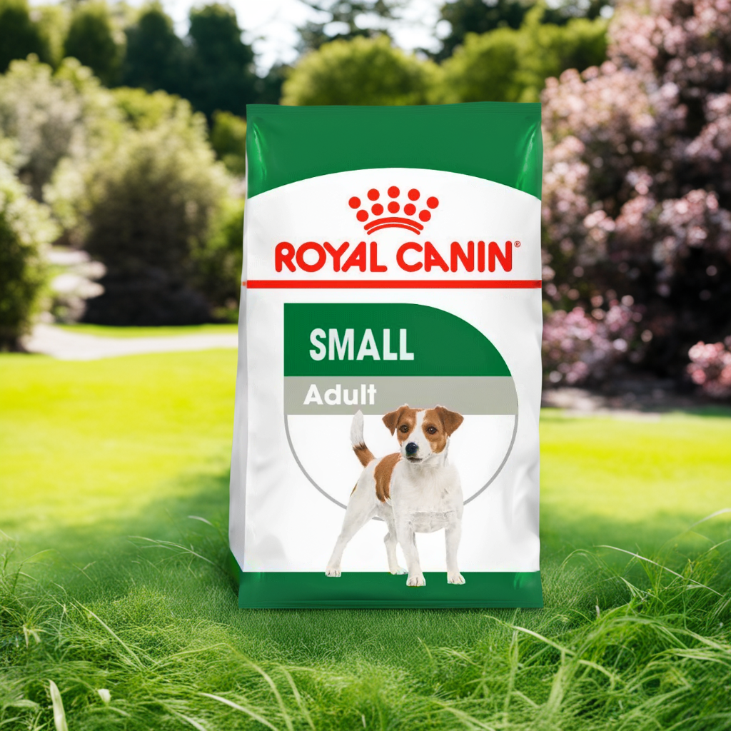Royal Canin Small Adult 2 Kg | Nutrición Completa para Perros Adultos de Razas Pequeñas