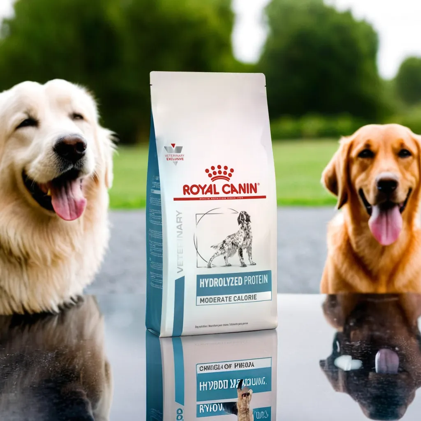 Royal Canin Hydrolyzed Protein Moderate Calorie 11 Kg
