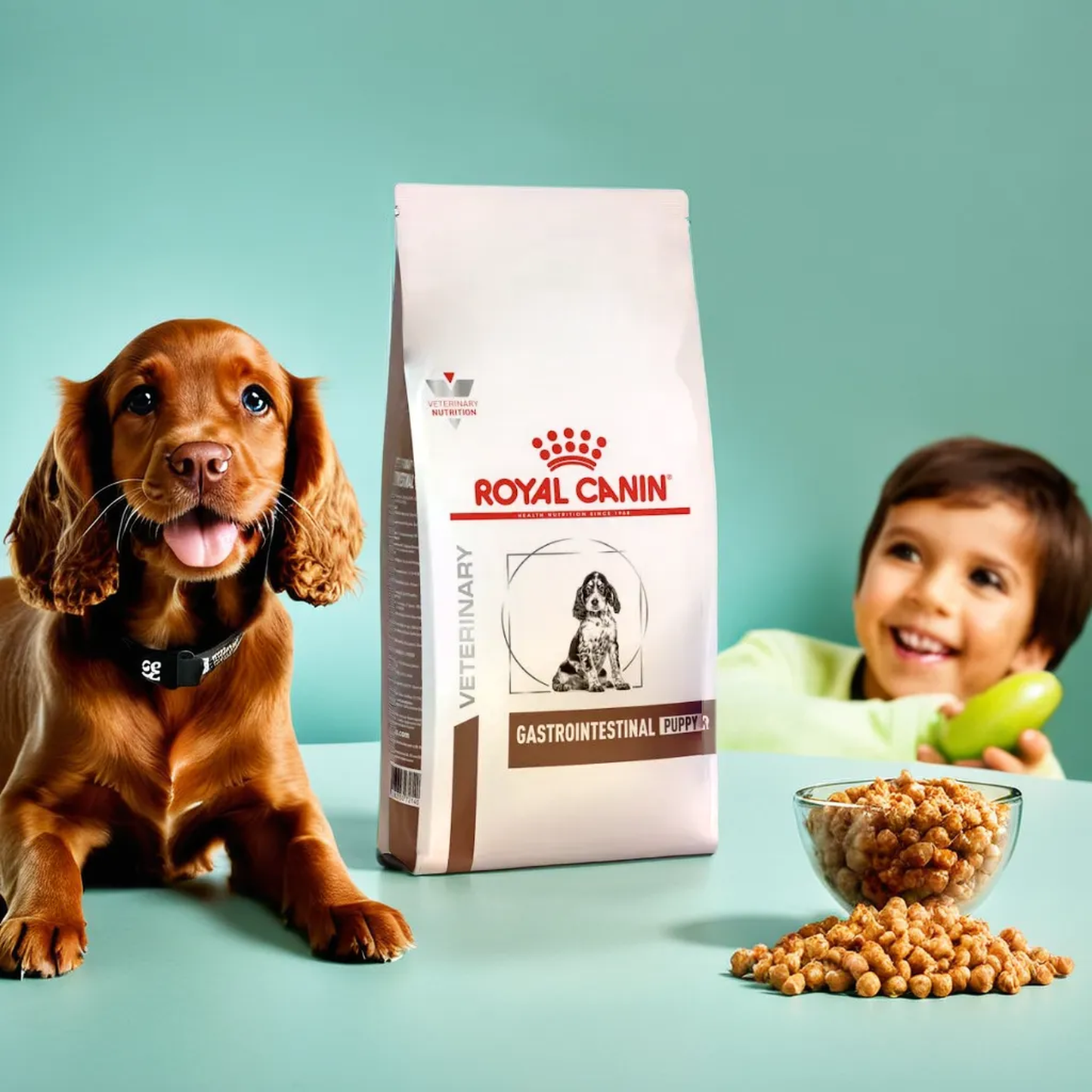 Royal Canin Gastrointestinal Puppy 4 Kg