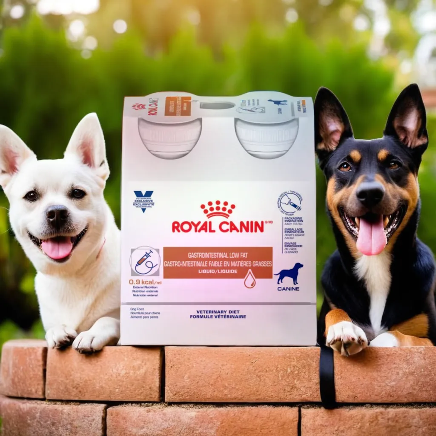 Royal Canin ICU Liquid Gastrointestinal Low Fat Canine (Pack de 4 Unidades)