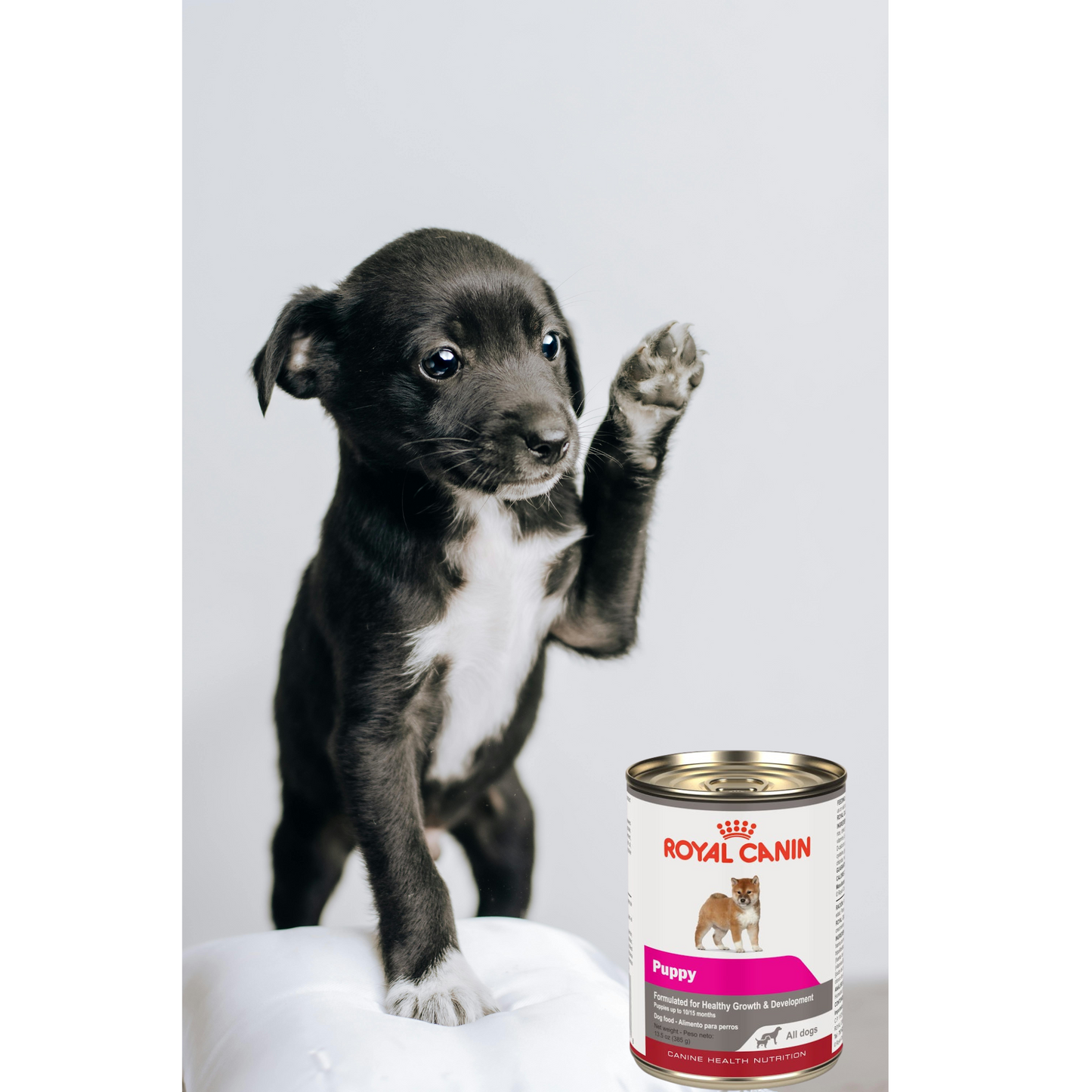 Royal Canin Puppy All Dogs 385 Gr
