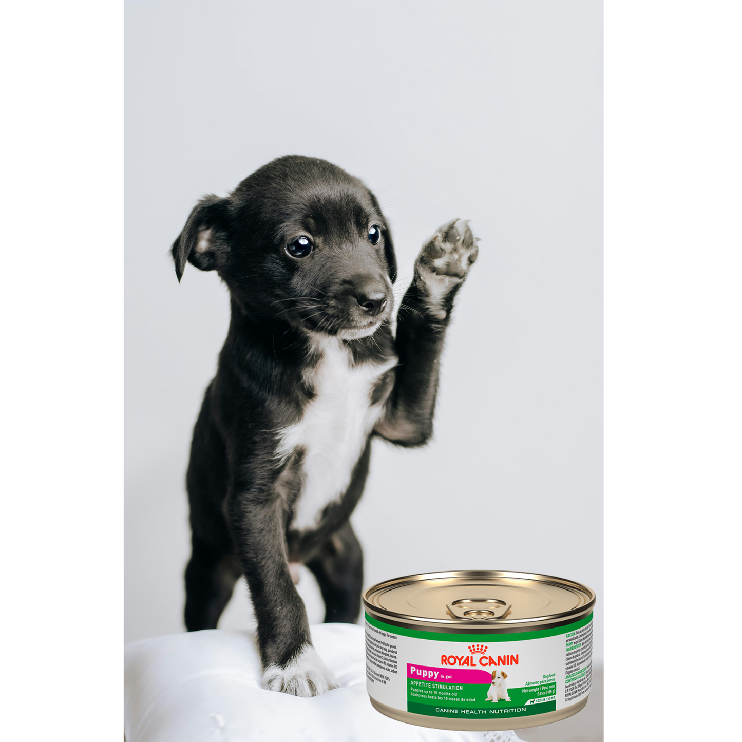 Royal Canin Puppy Loaf in Sauce 145 Gr