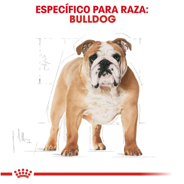 Royal Canin BHN Bulldog 13.6 Kg
