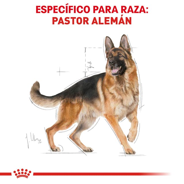 Royal Canin BHN German Shepherd 13.6 Kg