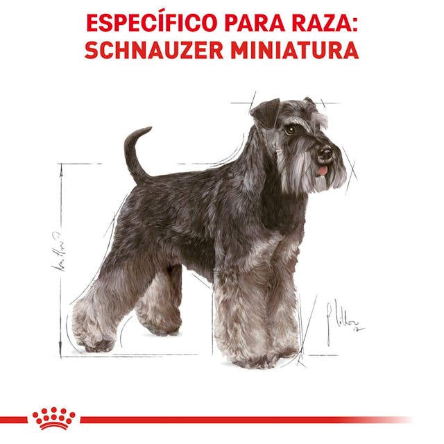 Royal Canin BHN Miniature Schnauzer 4.55 Kg
