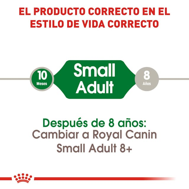 Royal Canin Small Adult 2 Kg | Nutrición Completa para Perros Adultos de Razas Pequeñas