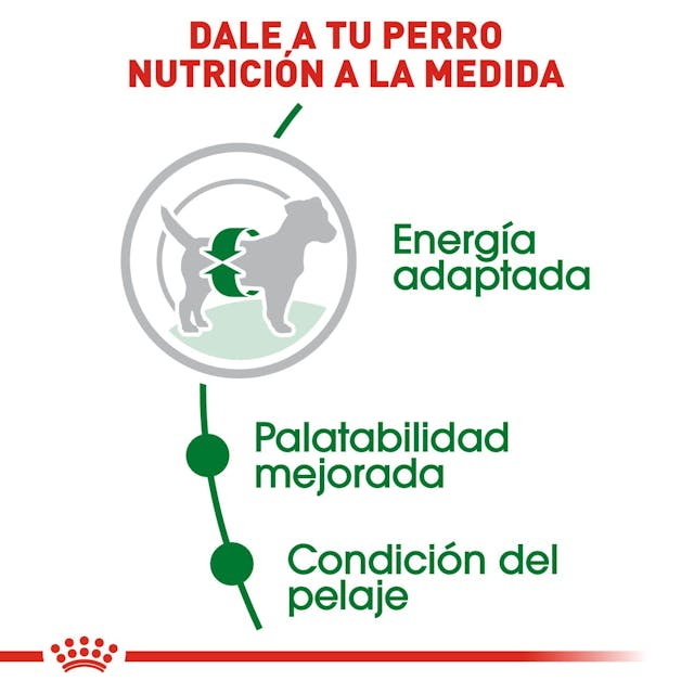 Royal Canin Small Adult 2 Kg | Nutrición Completa para Perros Adultos de Razas Pequeñas
