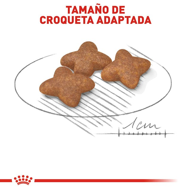 Royal Canin Small Adult 2 Kg | Nutrición Completa para Perros Adultos de Razas Pequeñas