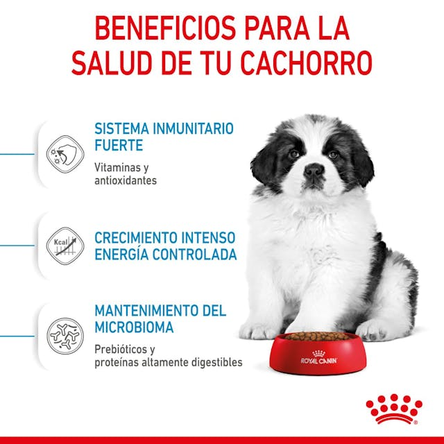 Royal Canin Giant puppy 13.6 Kg