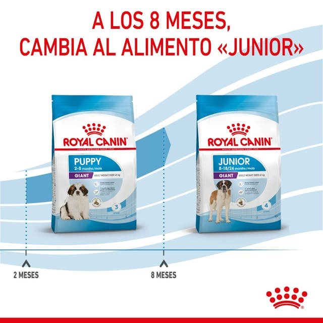 Royal Canin Giant puppy 13.6 Kg