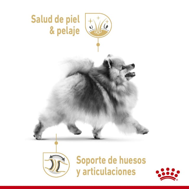 Royal Canin BHN Pomeranian Adult 1.1 Kg