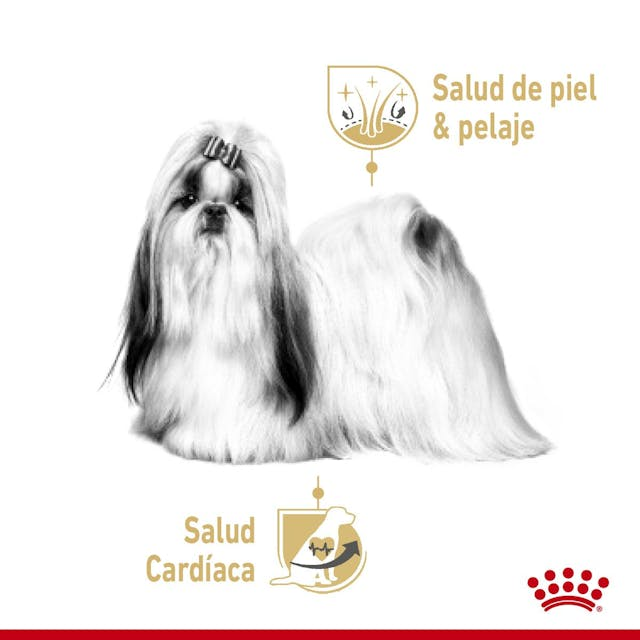 Royal Canin Shih-Tzu Lata 85 Gr