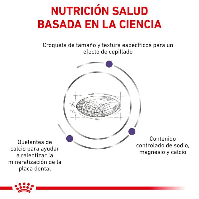 Royal Canin Dental Small Dog Dry 4 Kg