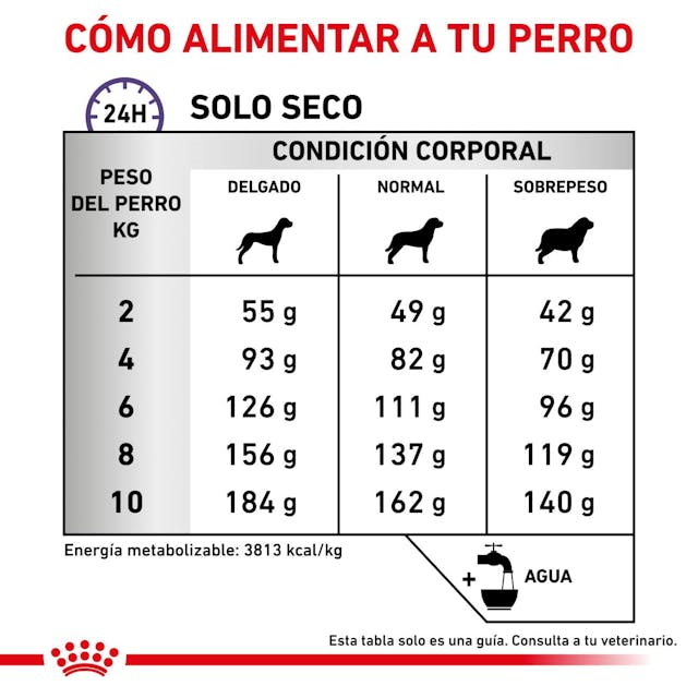 Royal Canin Dental Small Dog Dry 4 Kg