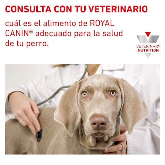 Royal Canin Hepatic Lata 390 Gr