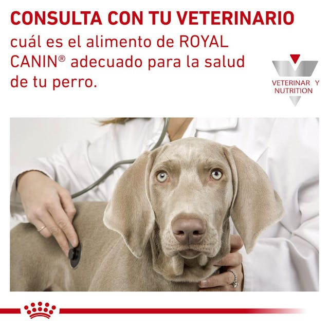 Royal Canin Renal Support E Canine Lata 385 Gr