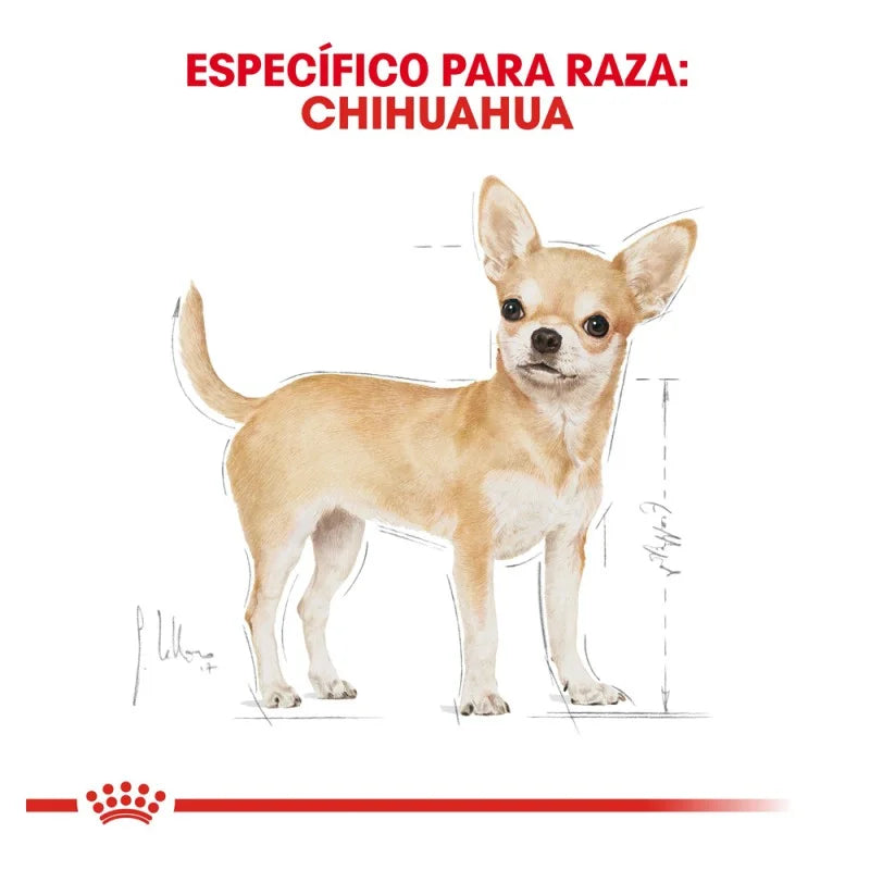 Royal Canin BHN Chihuahua 4.55 Kg
