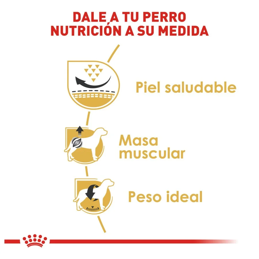 Royal Canin BHN Pug 1.13 Kg