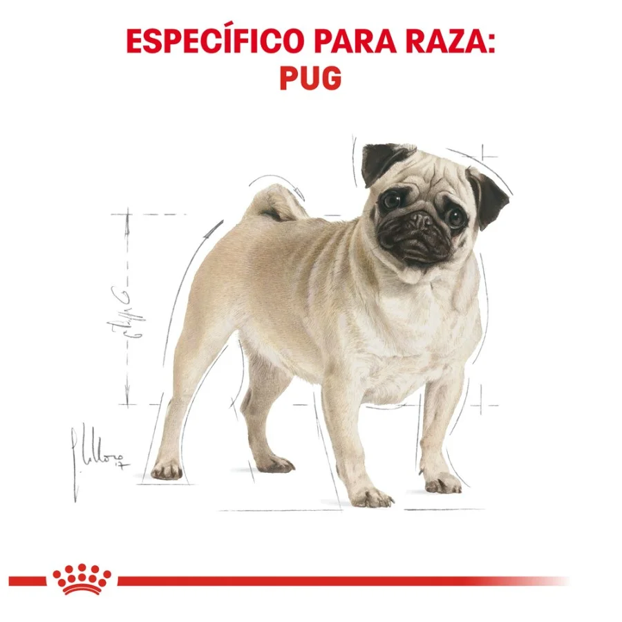 Royal Canin BHN Pug 1.13 Kg