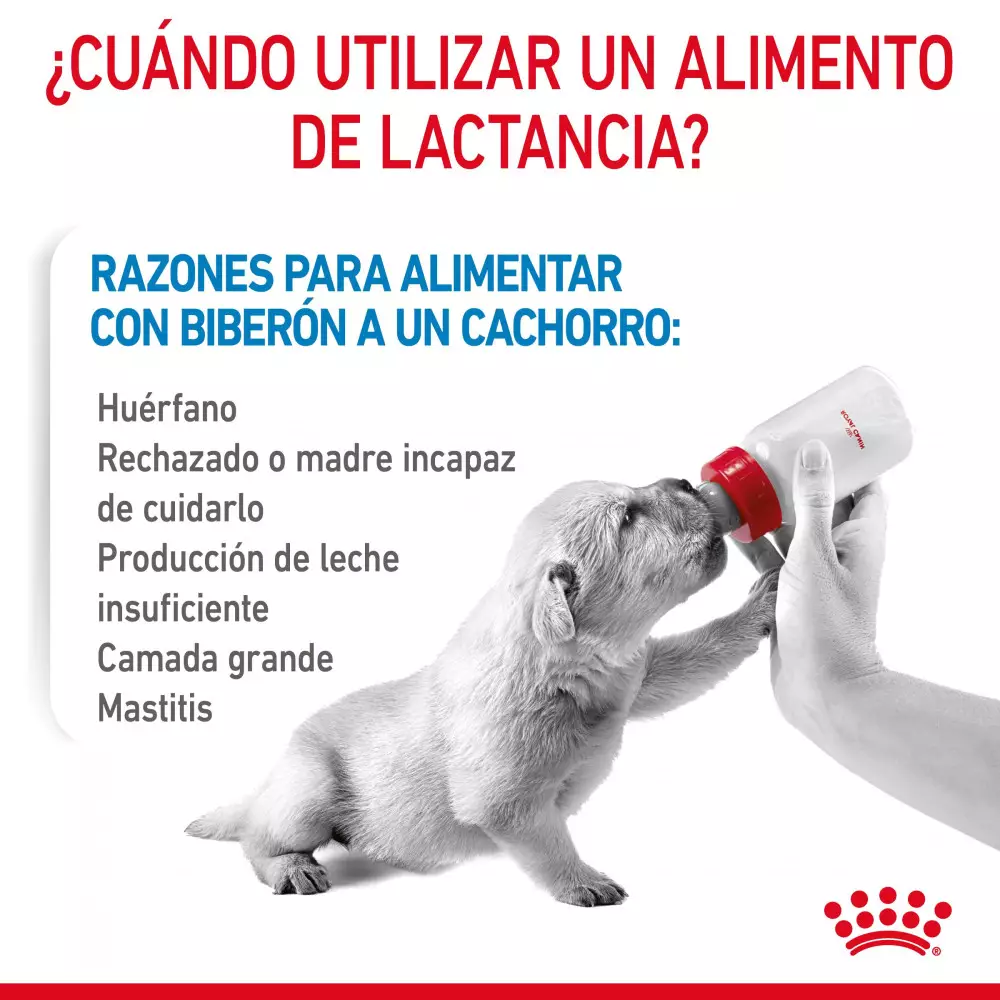 Royal Canin Baby Dog Milk 400 Gr