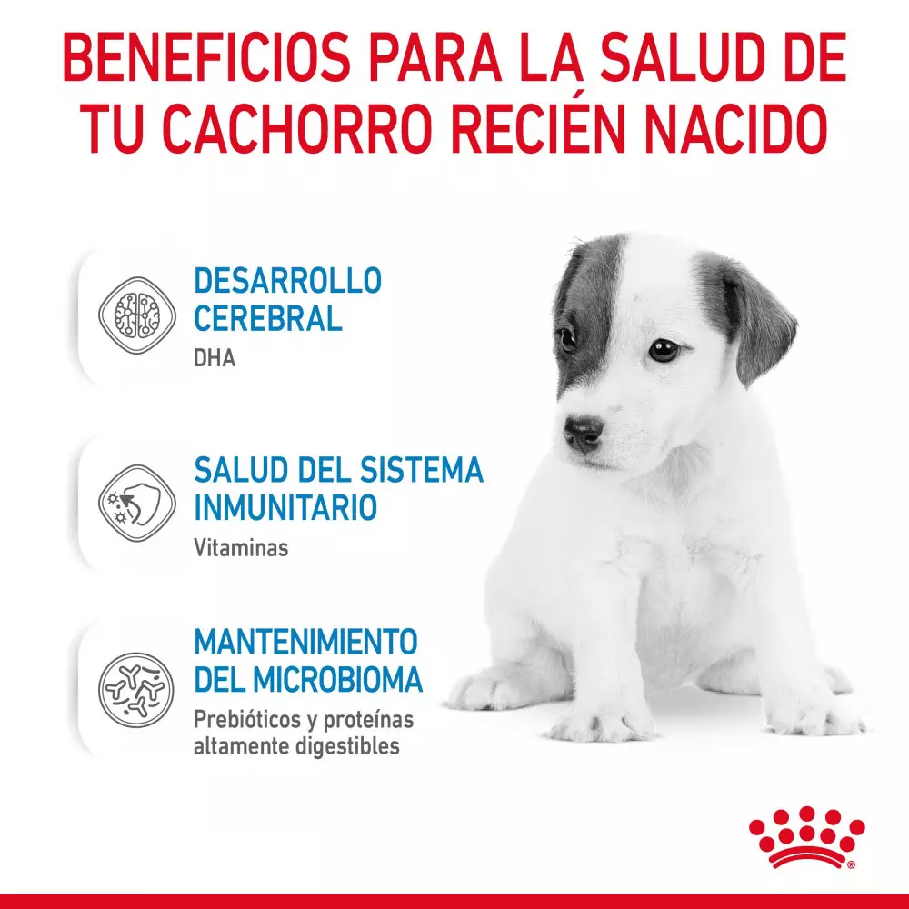 Royal Canin Baby Dog Milk 400 Gr