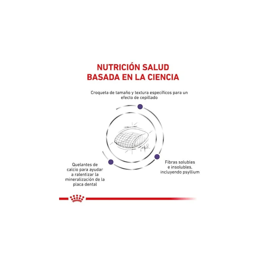 Royal Canin Dental Dry Dog 8 Kg