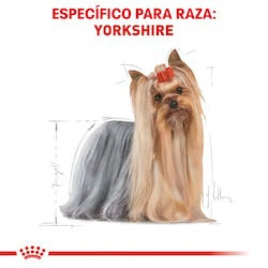 Royal Canin BHN Yorkshire Terrier 1.14 Kg