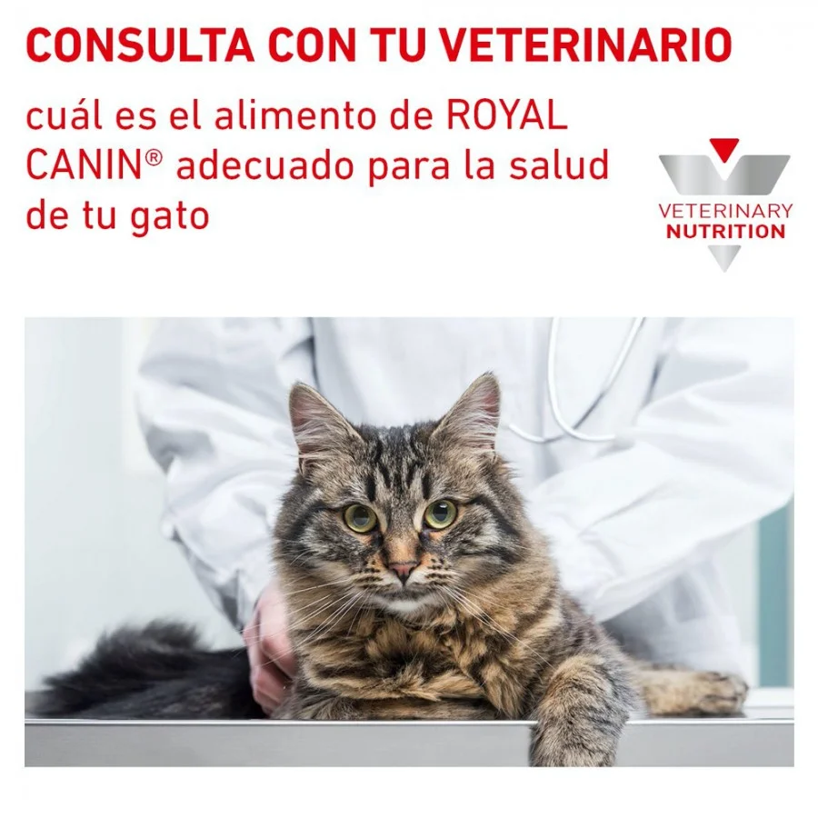 Royal Canin Urinary SO Feline 8 Kg