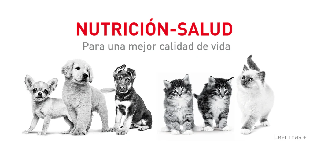 Royal Canin Giant puppy 13.6 Kg