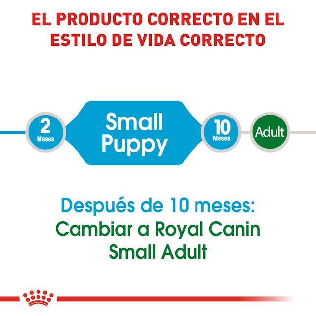 Royal Canin Small Puppy 1.1 Kg | Nutrición Completa para Cachorros de Razas Pequeñas