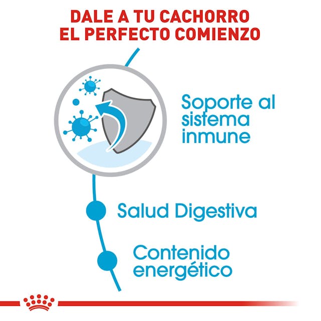 Royal Canin Small Puppy 1.1 Kg | Nutrición Completa para Cachorros de Razas Pequeñas