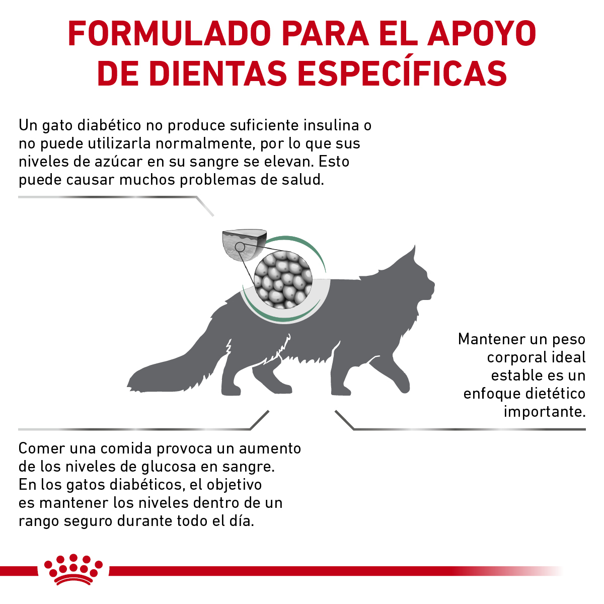 Royal Canin Glycobalance Feline 2 Kg