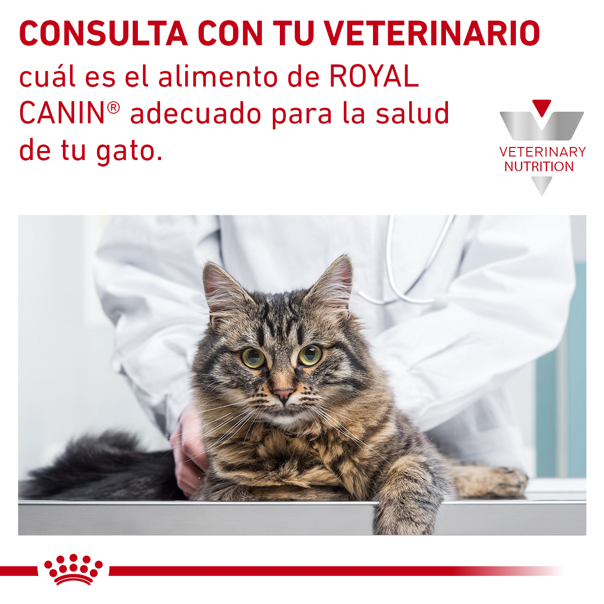 Royal Canin Glycobalance Feline 2 Kg