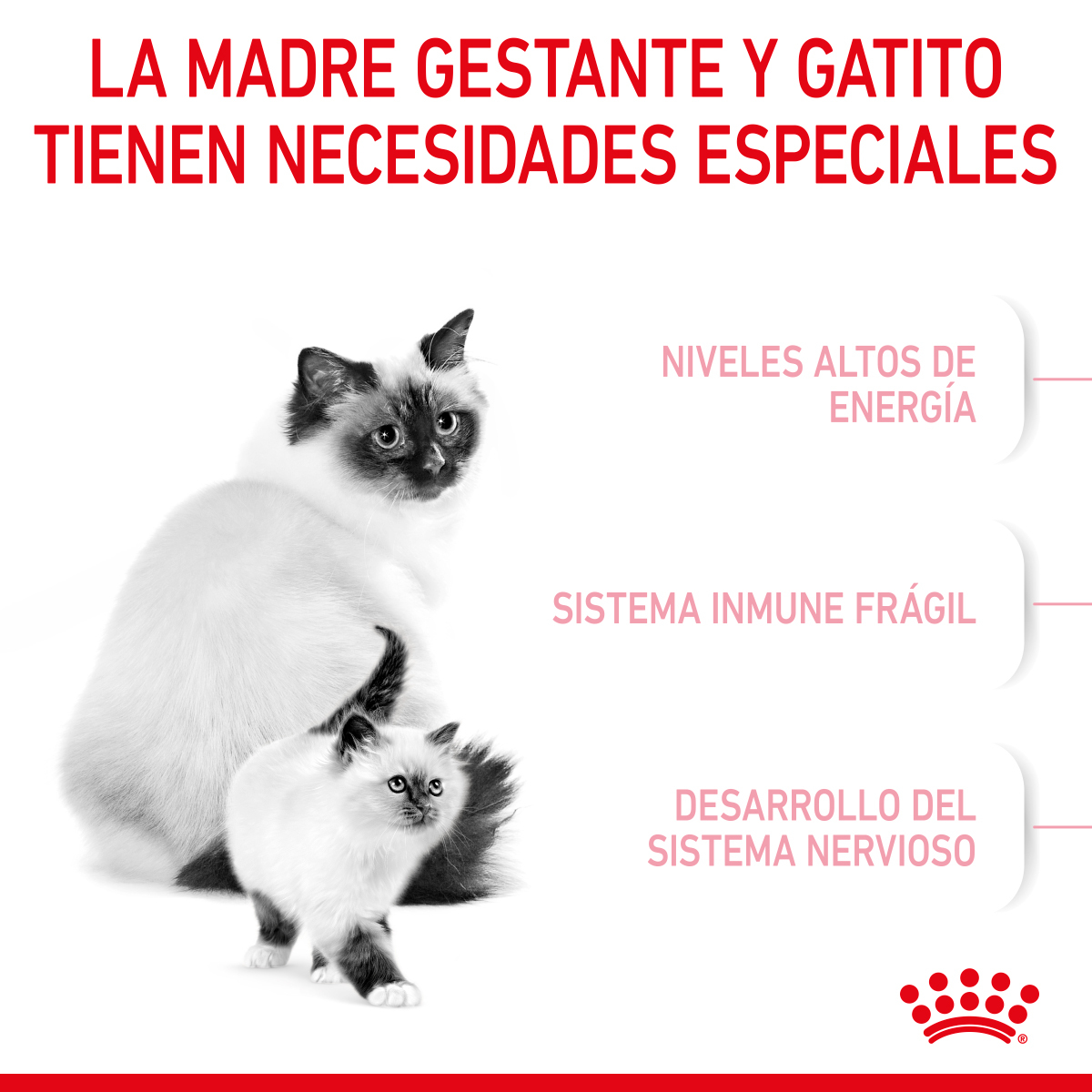 Royal Canin Mother & Babycat 1.37 Kg